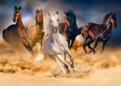 ENJOY Puzzle Koně cválající v poušti 1000 dílků