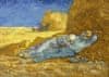 Puzzle Vincent Van Gogh: Polední odpočinek 1000 dílků