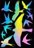 Silueta dravce - z holografické fólie fantazy rainbow - arch 30 x 40 cm, 11 dravců Dravci - Holografická samolepící fólie - 11 dravců na archu 30 x 40 cm, Kód: 25125