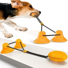 BEMI INVEST Pronett XJ4295 Hračka pro psy na čištění zubů s dvojitou přísavkou