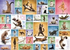 EuroGraphics Puzzle Kočičí jóga 1000 dílků
