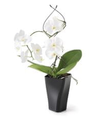 Prosperplast Nohel garden květináč na orchideje 12x30 cm - žlutá