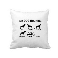 Fenomeno Polštářek - Training(pes)