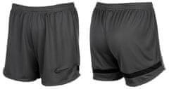 Nike Pánské krátké kalhoty Dri-FIT Academy CV2649 060 - XS
