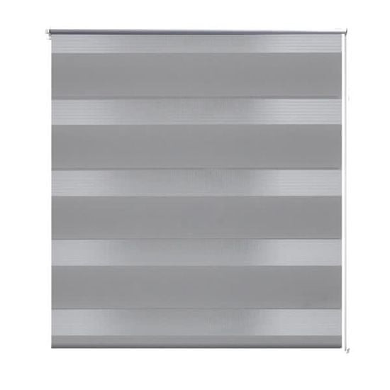 Vidaxl Roleta den a noc / Zebra / Twinroll 100x175 cm šedá