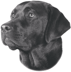 Nobby Nálepka Labrador černý 120x150mm