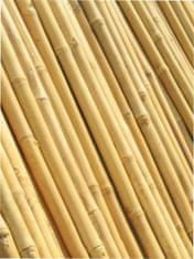 IGLACO Bambusová tyč, Podpůrná bambusová tyč k rostlinám. 120 cm