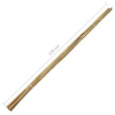 Greatstore Zahradní bambusové tyče 100 ks 170 cm