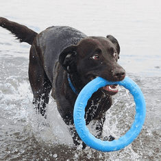 PitchDog tréninkový Kruh pro psy modrý Large