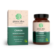 GREEN IDEA Chaga bylinný extrakt