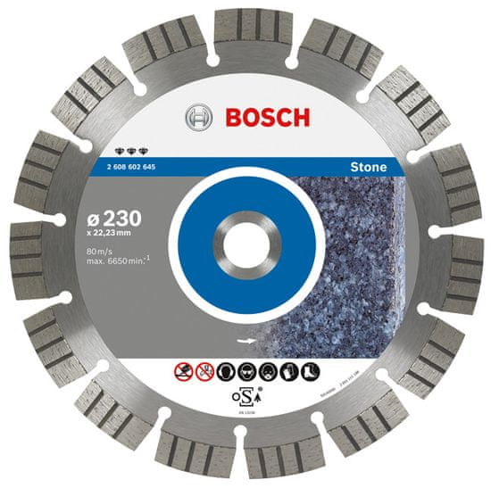 Bosch Diamantový kotouč 125X22 Seg Stone
