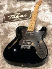 TTE200 Thinline BB/M je unikátní kytara z Custom Shopu ze série Special Models japonské značky