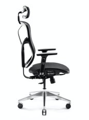Diablo Chairs Ergonomická židle DIABLO V-BASIC: černá 