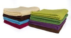 FARO Textil Bavlněný ručník Hera 50x100 cm I fialový