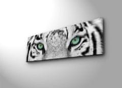 Hanah Home Obraz s led osvětlením White Tiger 90x30 cm