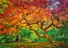 Puzzle Barvy podzimu