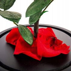 Korbi Červená věčná růže pod stínítkem lampy