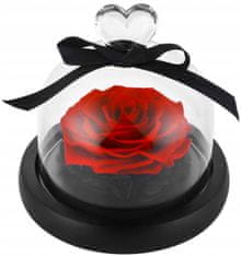 Korbi Věčná růže pod stínidlem, květinový box, dárek