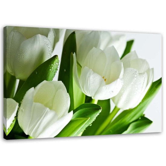 shumee Obraz, Bílé tulipány - 90x60