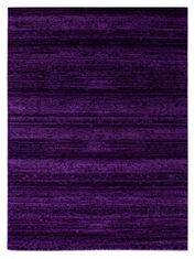Ayyildiz AKCE: 80x150 cm Kusový koberec Plus 8000 lila 80x150