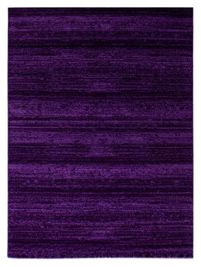 Ayyildiz AKCE: 120x170 cm Kusový koberec Plus 8000 lila
