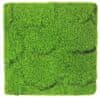 Greeny Umělá živá zelená stěna MECH 24, rozměr100 x 100cm