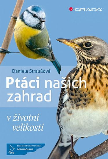 Daniela Straußová: Ptáci našich zahrad - v životní velikosti