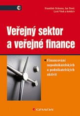 František Ochrana: Veřejný sektor a veřejné finance