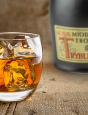 Ami Honey Medovina Trójniak Trybunalski 0,75 l v kameninové láhvi | Med víno medové víno | 750 ml | 13 % alkoholu