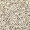 RB Stone Kamenný koberec - Botticino 2-4 mm, chemie - Polyaspartik 100 % UV 1,25 kg