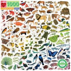 eeBoo Čtvercové puzzle Duhový svět 1000 dílků