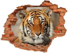 Wallmuralia Díra 3D foto tapeta nálepka Bengálský tygr 120x93 cm