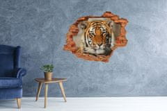 Wallmuralia Díra 3D foto tapeta nálepka Bengálský tygr 120x93 cm