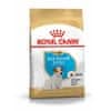 Royal Canin BHN JACK RUSSELL PUPPY 1,5kg