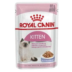 Royal Canin FHN KITTEN Jelly instinctive 85g kapsička v želé pro koťata