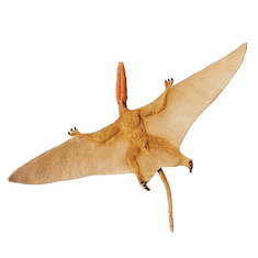 Safari Ltd. Figurka - Dimorphodon