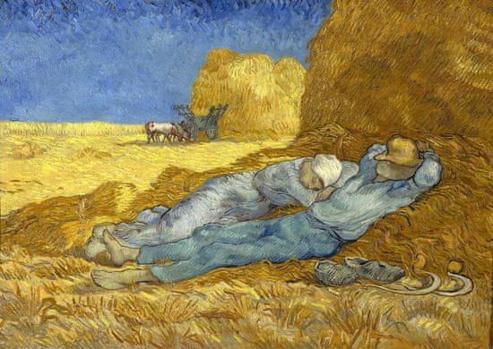 ENJOY  Puzzle Vincent Van Gogh: Polední odpočinek 1000 dílků