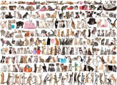 EuroGraphics  Puzzle Svět koček 1000 dílků