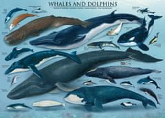 EuroGraphics  Puzzle Velryby a delfíni 1000 dílků