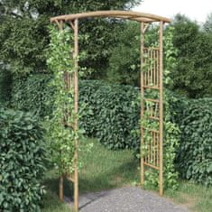 shumee vidaXL Rose Arch Bamboo 118x40x187 cm