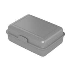 Elasto School Box - bez přepážky, Standardní stříbrná