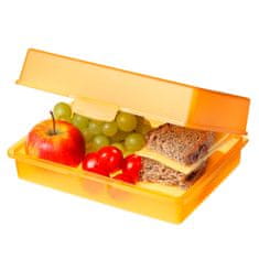Elasto Box "Piknik", Standardní zelená