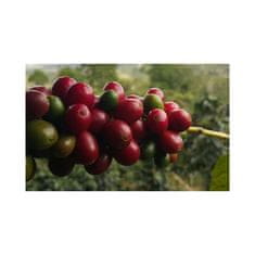 COFFEEDREAM PERU FINCA ROSENHEIM - Hmotnost: 100g, Typ kávy: Středně jemné mletí - espresso, mocca, Způsob balení: běžný třívrstvý sáček