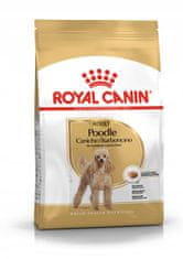Royal Canin Adult Poodle 1,5 kg granule pro pudly starší 10 měsíců