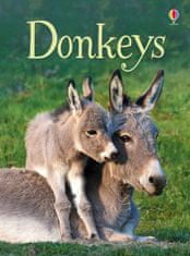 Usborne Donkeys