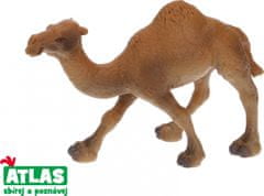 Atlas  B - Figurka Velbloud jednohrbý 11 cm