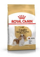 Royal Canin Adult Cavalier King Charles Spaniel 1,5 kg granule pro psy starší 10 měsíců