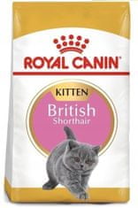 Royal Canin British Shorthair Kitten 10 kg granule pro britská krátkosrstá koťata