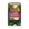 Hyson Hyson Soursop Gourmet, zelený čaj (100g)