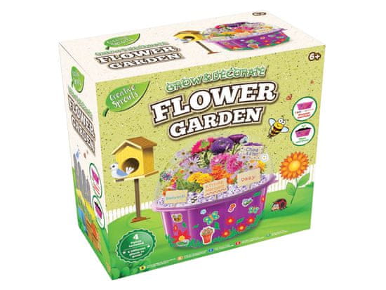 Mikro Trading Grow&decorate vypěstuj si květiny - 4 druhy sazenic s doplňky v PVC květináči v krabičce